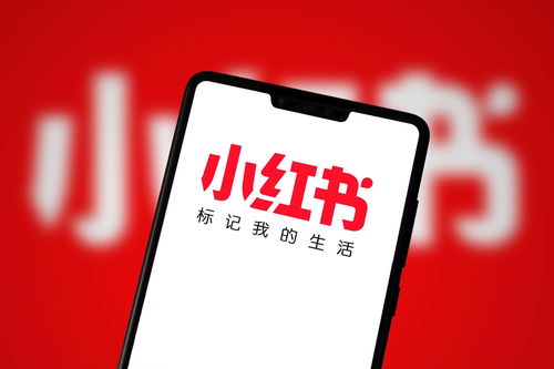 廣州小紅書達人推廣攻略 如何在網(wǎng)絡科技領域高效開展技術開發(fā)推廣