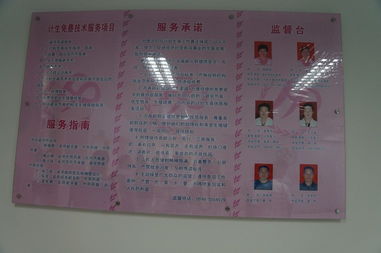 領先CMS建站服務商 專注研發，賦能高效建站